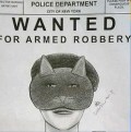 Cat Woman Thief Strikes Shoe, Beauty Stores cat woman burglar Cat Woman Thief Strikes Shoe, Beauty Stores