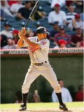 Baseball Gallery