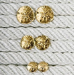 Sand-Dollar Studs