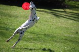 'Tis Spring: Beautiful Weather Photos