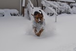 PHOTOS: February Snow Hits Tri-State