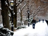 Wild Wintry Weather
