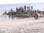 Baby Whale Fights For Life