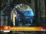 Chimpanzee Attacks in Stamford