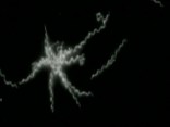 The Mystery Disease