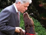 Presidential Smoochin' and Snoggin'