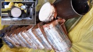 $2.3 Million in Heroin Seized From Tractor-Trailer in NY