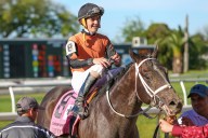 Derby 2017: 5 Horses to Watch in 143rd Kentucky Derby