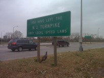 Tammy the Turkey Takes to the Turnpike