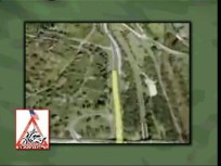 Marine Corps Marathon This Sunday