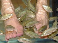 Pols Angling to Ban Fishy Foot Service