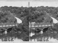 What's the Deal: The Central Park Conservancy