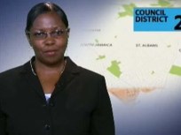 Adrienne Hayes, City Council