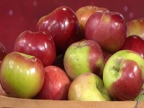 Produce Pete: Honey Crisp Apples
