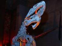 Night at the Museum (For Real)