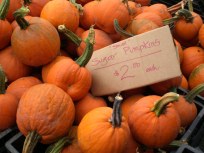 Load Up on Good at the Greenmarket