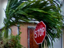 No Long Island Evacuations for Earl, Yet