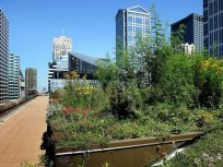 View From the Top: Rooftop Gardens