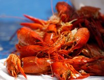 The Crayfish Are Coming (Where To Get 'Em)