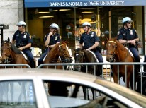 NYPD Horse Allegedly Bites Jersey Woman