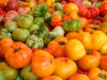 7/29: Farm to Table 100-Mile Dinner, Chromeo…