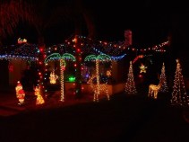 The Best Holiday Lights