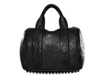Alexander Wang Blogs His "It" Bag