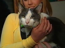 L.I. Smoke-Eaters Breathe Life into Cat
