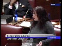 Savino Makes a Splash During Gay Marriage Debate
