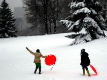 White Out: The Storm of 2010