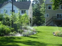5 Tips for a Lush Winter Landscape