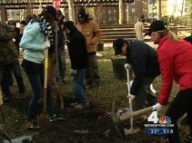 Planting Trees to Preserve the Future