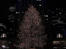 X-mas Countdown: Perfect Tree for the Plaza