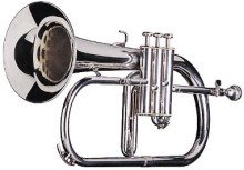 Flugelhorn Thief at Large Following Subway Mugging