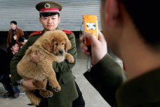 Daring Woman Snaps Photo of Mad Man's Dog