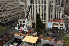 Watch Live: The Rockefeller Center Christmas Tree