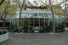 "Tavern" By Any Other Name Is Not the Same