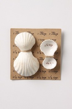 Shell Measuring Spoons