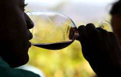 NYC Gets First Official Winery Since 1960's