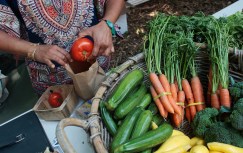 Edible Manhattan Brings Harvest To Seaport