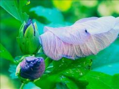 Your Summery Weather Photos