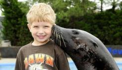Pay $200 to Make Out With a Sea Lion