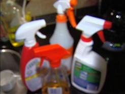 EarthTalk: Cleaning Products, Phragmites
