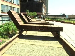 Take a Tour of The High Line