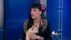 Dog Bite Prevention Week