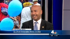 Bronx Week 2013