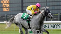 Ex-Overseers of NYRA Want Internal Report Released