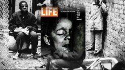 The Studio Museum Honors Gordon Parks
