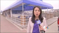 L.I. Brides Say They're Owed Thousands After Wedding Venue Suddenly Closed