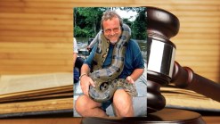 Real-Life Snakes on a Plane: Man Smuggles 7 Snakes